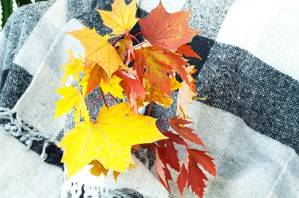 チェッカーのチェック柄の黄色い葉。秋の装飾。ヒュッゲスタイル — ストック写真