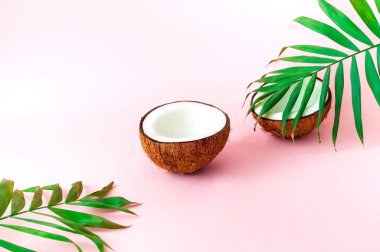 Palmiye yaprakları ve hindistan cevizli tropik bir arka plan. Yakın plan.