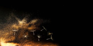 Soyut koyu arkaplan, altın parıltılar ve beyaz cilt yüzeyi Karahindiba. Bulanık etki. Proje için şenlik arka planı. Boşluğu kopyala