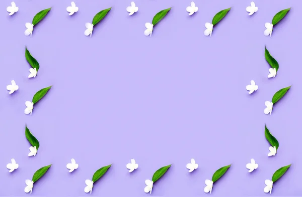 Pattern Flowers Jasmine Purple Background Hello Summer Concept Creative Copy — Stok Foto