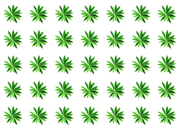 Muster aus grünen Blättern auf weißem Hintergrund. Hallo Sommer Konzept. Kreativer Kopierraum für Design. — Stockfoto