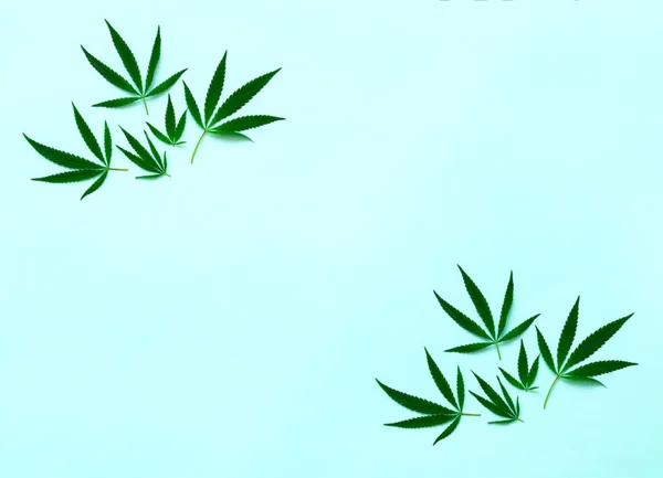 Muster Von Cannabis Auf Blauem Hintergrund Botanisches Design Organischen Stil — Stockfoto