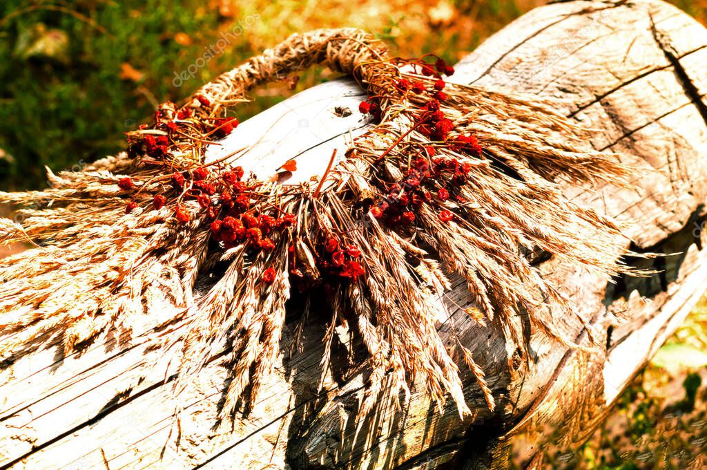 Ritual wreath of dry herbs and berries on a wooden log.The concept of religious pagan rites.