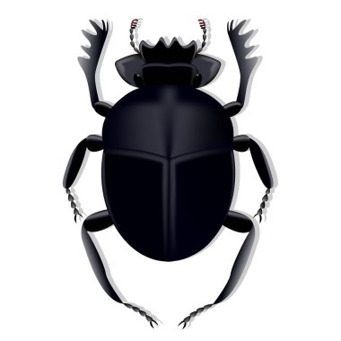 Shado beyaz bir zemin üzerine mesh degrade kullanılarak oluşturulan scarab böceği