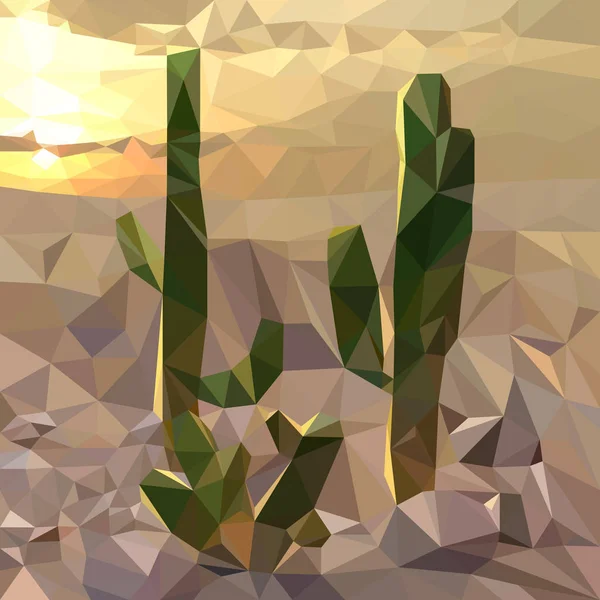 Несколько кактусов на фоне заката в пустыне, накануне — стоковый вектор