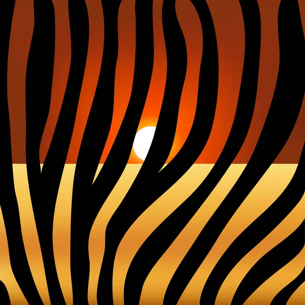Günbatımı güneşinin arka planında zebra izi, hayvan derisi, bl