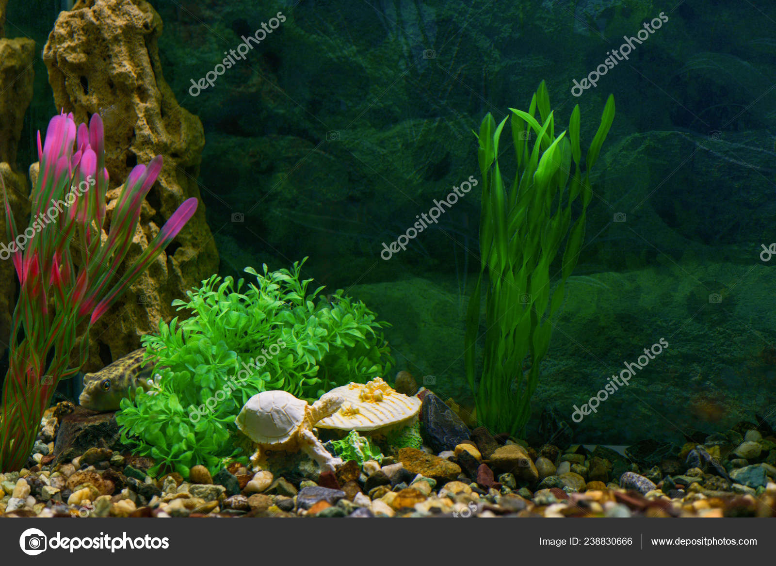 4000 Koleksi Stone Design For Aquarium Gratis