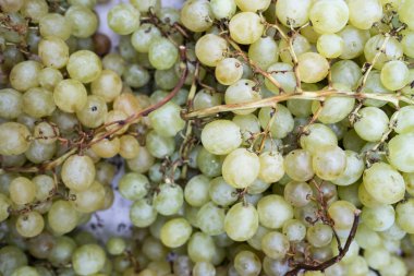 dağ yeşil üzüm meyve dükkanı için kümeleri