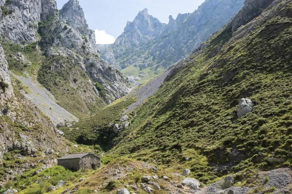 Avrupa, asturias doruklarına dağlık manzara.