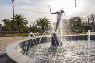 bir çeşme bir parkta çıkan su