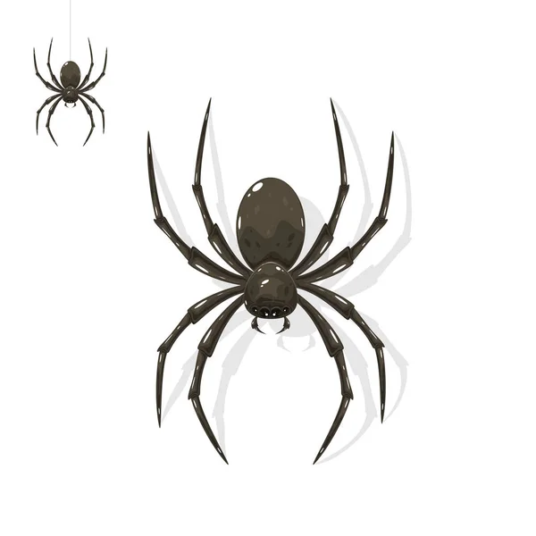 Black Scary Spider Halloween Isolated White Background Illustration — Stock Vector