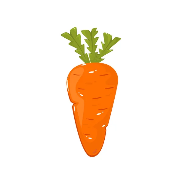 Deliciosa Zanahoria Madura Aislada Sobre Fondo Blanco Ilustración — Vector de stock