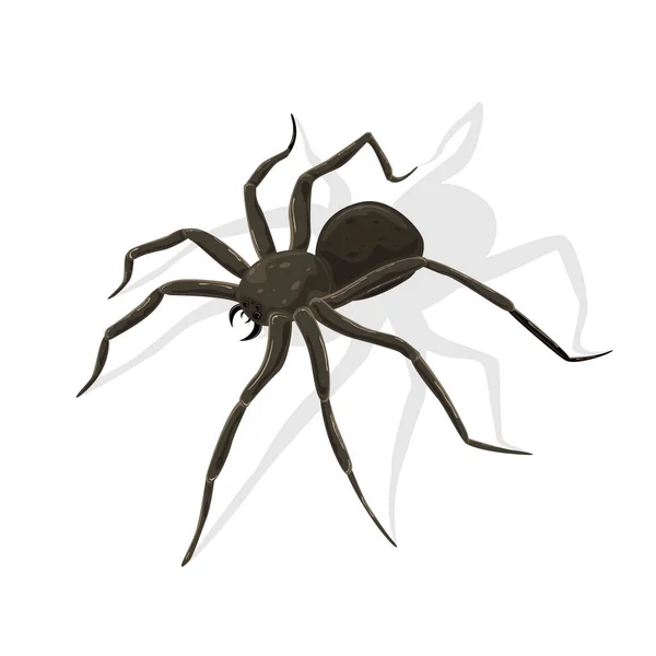 Schwarze Beängstigende Spinne Für Halloween Thema Isoliert Auf Weißem Hintergrund — Stockvektor