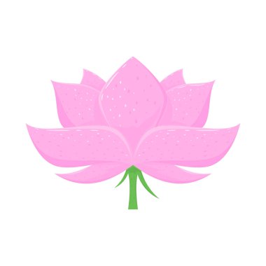Beyaz arka plan üzerinde illüstrasyon izole pembe lotus çiçeği.
