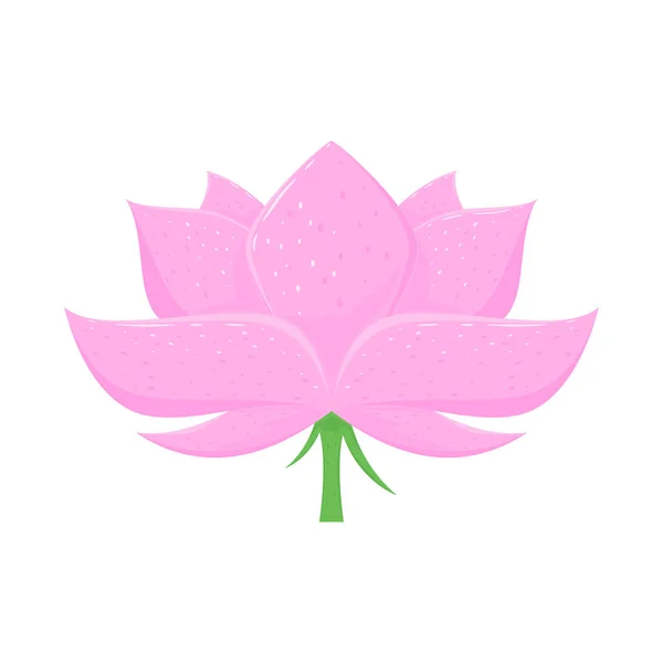 Pink Lotus Flower Isolated White Background Illustration — Stock Vector