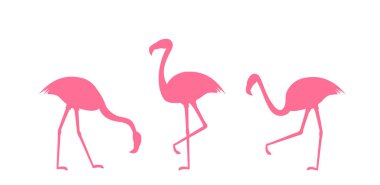 Beyaz arka plan üzerinde illüstrasyon izole pembe flamingo siluetleri kümesi.