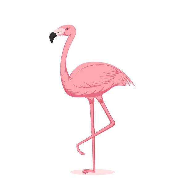 Beyaz Arka Plan Üzerinde Illüstrasyon Izole Karikatür Pembe Flamingo — Stok Vektör