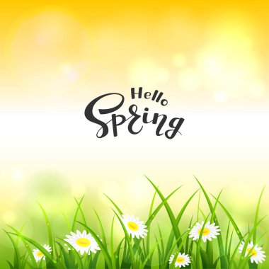 Doğa bahar ya da yaz. Çiçekler ve çim damla ile. Merhaba bahar turuncu gökyüzü arka plan, illüstrasyon üzerinde yazı.