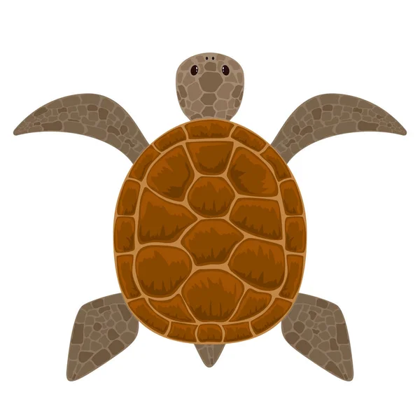 Schattige Schildpad Geïsoleerd Een Witte Achtergrond Illustratie — Stockvector