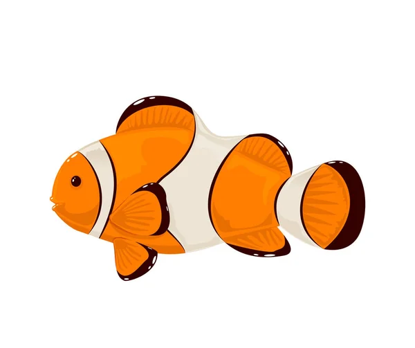 Clown Fish on White Background — Stock Vector