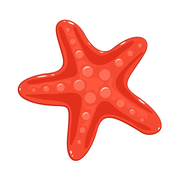 Starfish on White Background — Stock Vector