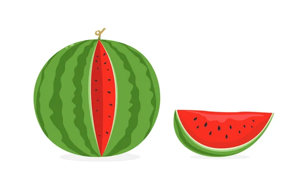 Watermelon on White Background — Stock Vector