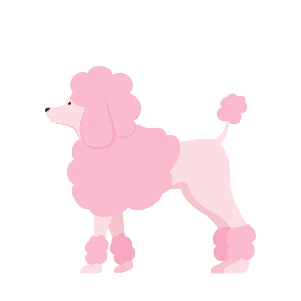 Caniche rosado — Archivo Imágenes Vectoriales