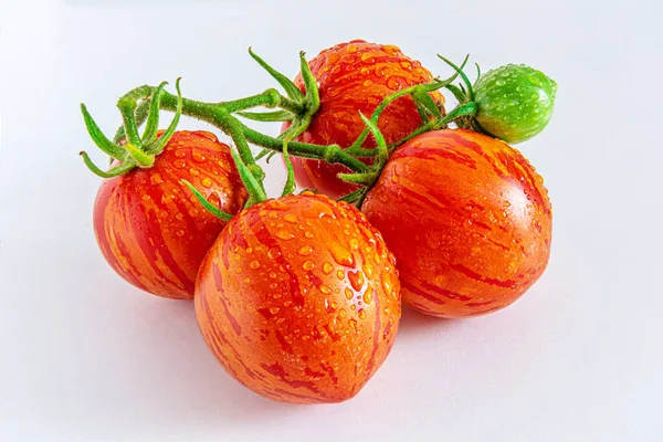 Tomaten gestreifte Tomate in Großaufnahme auf weißem Teller, Sorte Tigerella. lizenzfreie Stockbilder