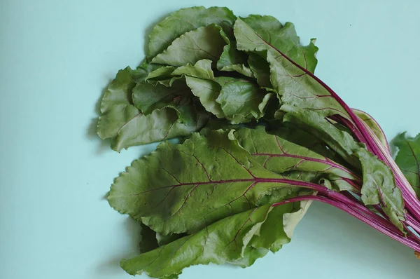 Genç pancar, taze yeşil mavi zemin üzerine bırakır. ham buryak