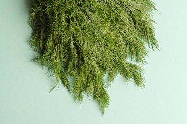 makro birkaç mavi zemin üzerine Yeşil taze dereotu. Sağlıklı gıda, ham ve vejetaryen