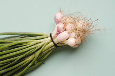 Mavi zemin üzerine taze yeşil soğan