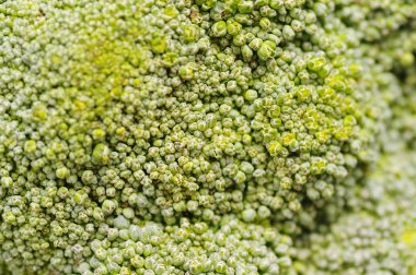 Brokoli dokusuna yakın çekim için arka plan. Yeşil Brokoli lahana en iyi makro görünümü