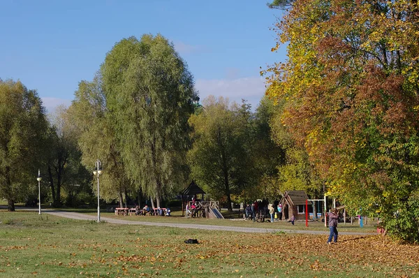 Kolorowych Liści Jesienią Parku Jesienne Naturalnego Tła Autumn Drzewa Liście — Zdjęcie stockowe