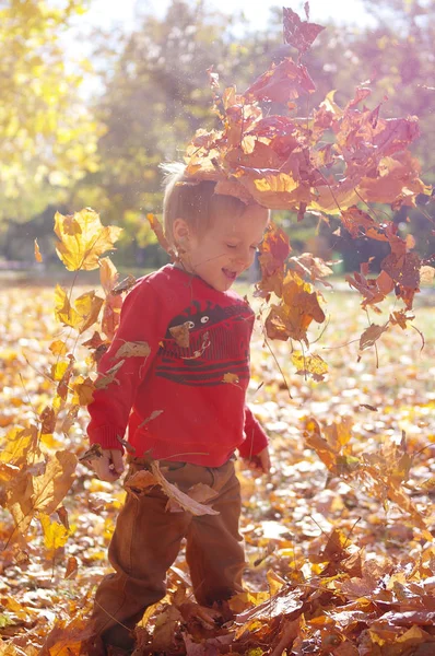 Niño Sonriente Jugando Con Hojas Caídas Otoño Niño Sosteniendo Racimo —  Fotos de Stock