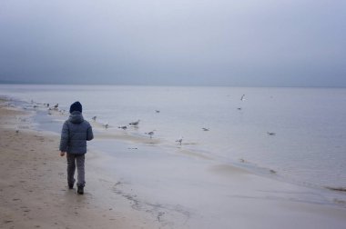 Martılar sahilde besleme çocuk. Küçük çocuk kumsalda deniz soğuk rüzgarlı gün standları