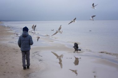Martılar sahilde besleme çocuk. Küçük çocuk kumsalda deniz soğuk rüzgarlı gün standları