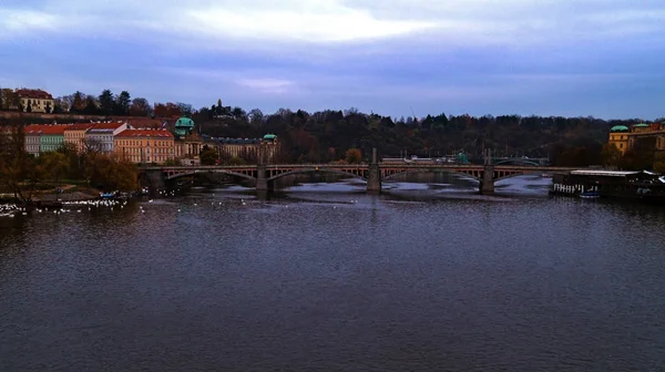 Manes Bridge i Prag — Stockfoto