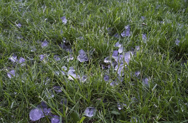 Grote hagel ligt op groen gras — Stockfoto
