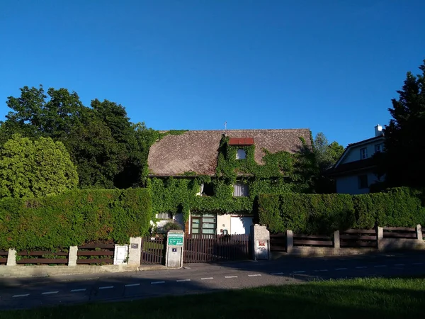 Mooi huis onder groene bomen in Praag — Stockfoto