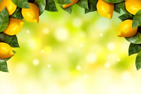 清新的柠檬果园框架与散景闪闪发光的绿色背景在3D — 图库矢量图片
