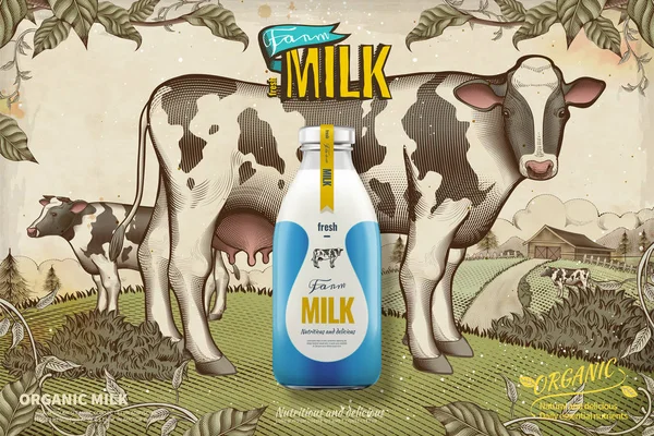 Farmě Čerstvé Mléko Ilustrace Retro Ryté Zemědělské Půdy Mléčného Skotu — Stockový vektor