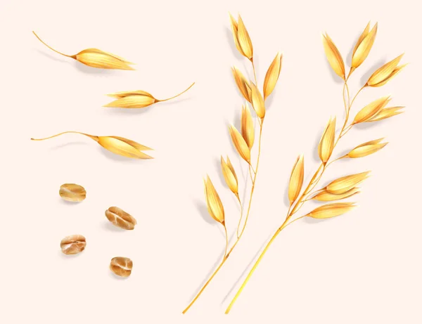 Orecchio di grano ed elementi di grano — Vettoriale Stock