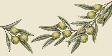 Ahşap biçimli zeytin illüstrasyonu