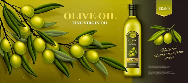 Annonces bannière huile d'olive — Image vectorielle