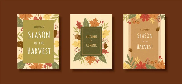 Harvest Season Flat Illustration Flyer Set Maple Leaves Acorns — Stock Vector