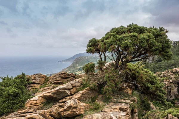 Mirador Chao do Monte, Galicia, Spain, 07/21/2017 13:09:25
