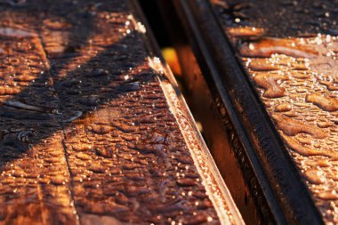 Şehir parkları sonbaharda. Sonbahar renkleri. Bir yağmur sonra bahçe bir Bank parçası.