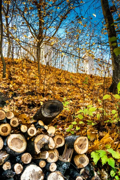 Şehir parkları sonbaharda. Sonbahar renkleri. Park parçası.