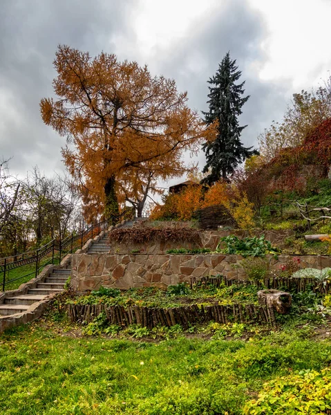 Şehir parkları sonbaharda. Sonbahar renkleri. Park parçası.