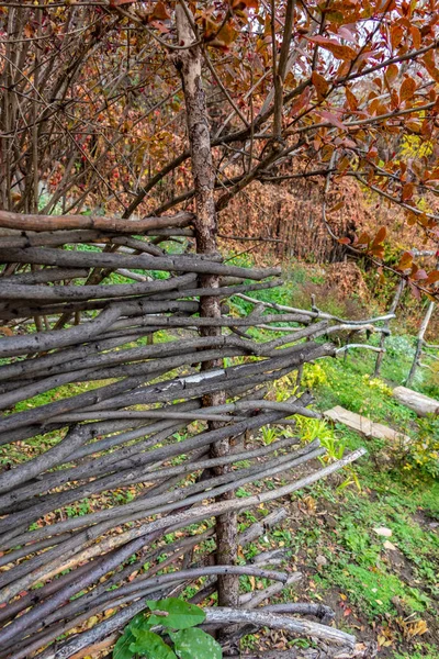 Şehir parkları sonbaharda. Sonbahar renkleri. Park parçası.